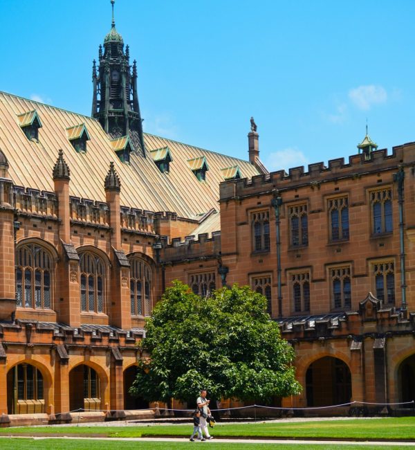 pexels-talharesitoglu-29737876